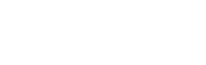 SZStudio Logo